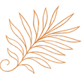fern icon