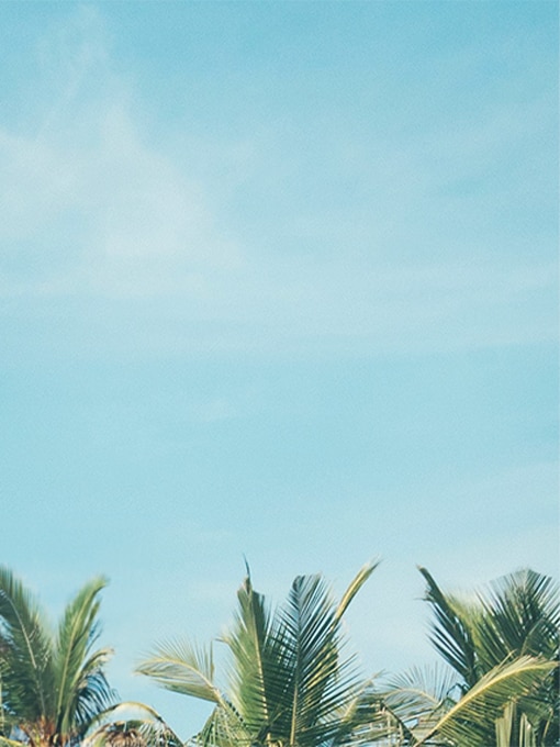 Shop our summer colors