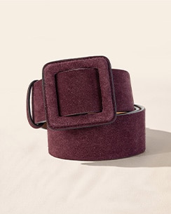 Filter by Belts