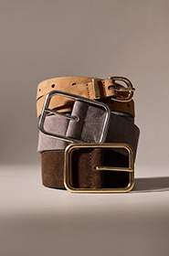 Filter by Belts