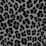 silver dollar blurred animal