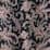 black bean ornamental jacobean