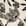 Swatch image of cream adara paisley for Wearever Crew-Neck Ballet-Sleeve Top
