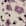 Swatch image of barley ditsy floral for Pima Scoop-Neck Elbow-Sleeve Tee