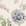 Swatch image of cream papillion garden for Sleep Ultrasoft Piped Crops