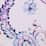 soft petunia watercolor paisley