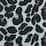light grey leopard
