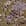 Swatch image of mustard seed floral woodblock for Pure Jill Long-Sleeve Shirttail Tee