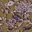 mustard seed floral woodblock