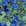 Swatch image of light cloverfield floral landscape for Wearever V-Neck Ballet-Sleeve Top