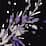 black frosted sprigs