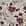 Swatch image of cream floral vines for Wearever Ballet-Sleeve Crew-Neck Top