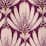 dusty pink fan geo, $69.00