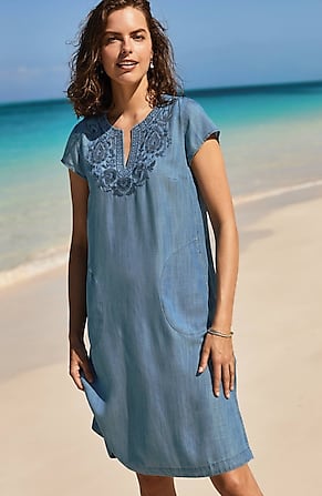 Image for Embroidered Indigo A-Line Dress