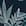 Swatch image of black teal sketched tropical for Wearever Full-Leg Shorts