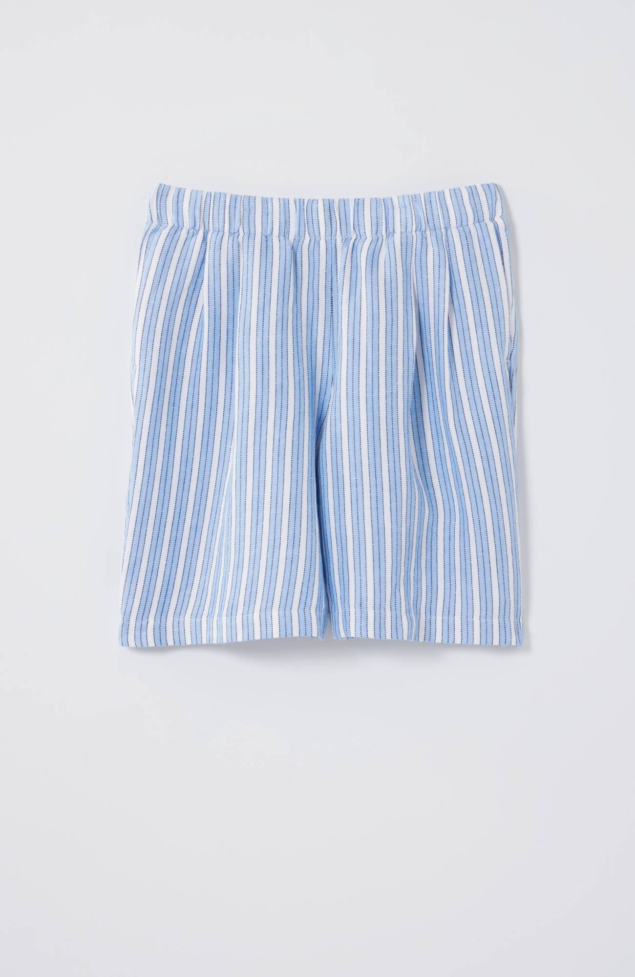 Linen & Rayon Pleat-Front Shorts