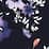 navy blue floral spritz