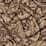 light mocha textured paisley