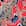 Swatch image of soft red feathery floral for Sleep Ultrasoft Raglan-Sleeve Top