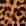 Swatch image of light camel majestic leopard for Luxe-Leopard Top