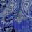 blue orchid blossoming paisley