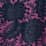 pink splendid jacobean