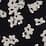 black wispy floral mix