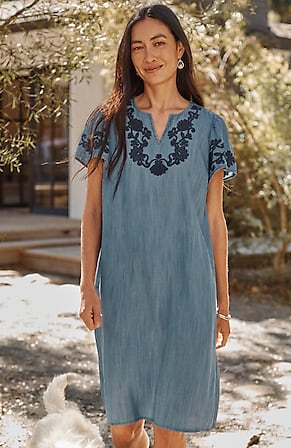 Image for Embroidered Indigo Flutter-Sleeve Dress