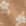 Swatch image of apple cider heather barley for Two-Tone Floral Crew Socks