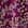 Swatch image of plum jacobean garden for Shirred Popover