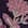 Swatch image of black currant multi for Feminine Floral-Embroidered Top