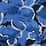 navy blue floral glow, $119.99