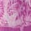 dragon fruit tropical toile, $59.97