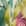 Swatch image of cream fresh tropical for Shirred Voile Top