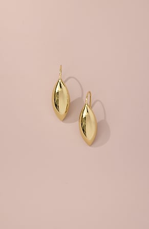 Image for Demi-Fine Elongated Earrings