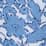 blue heron garden illustrations, $44.99