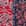 Swatch image of hibiscus multi for Bordered Jacobean Soft Jacket