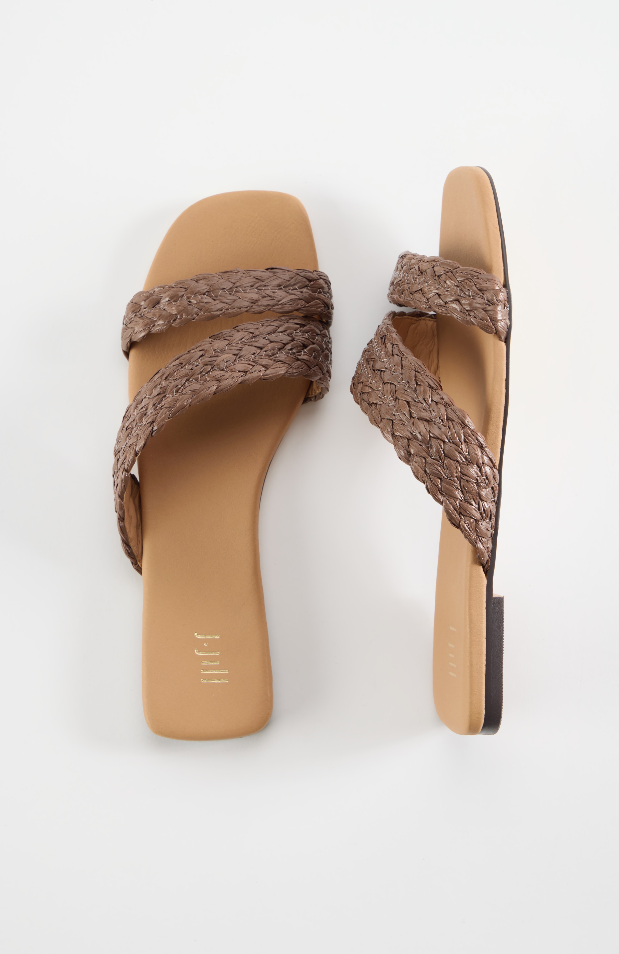 maxine summer slides