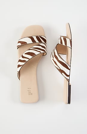 Image for Maxine Summer Slides