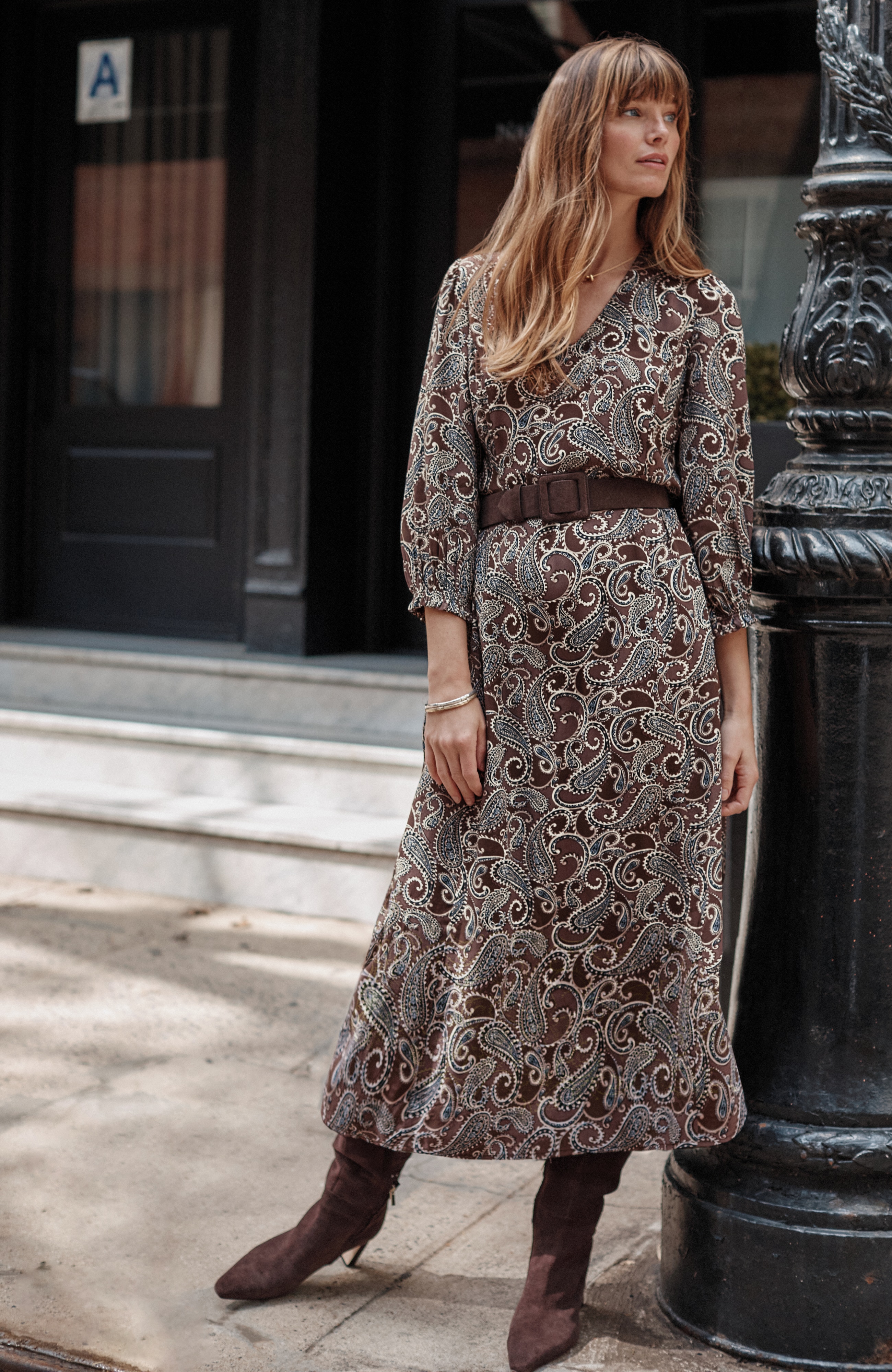 Printed Seamed A-Line Dress