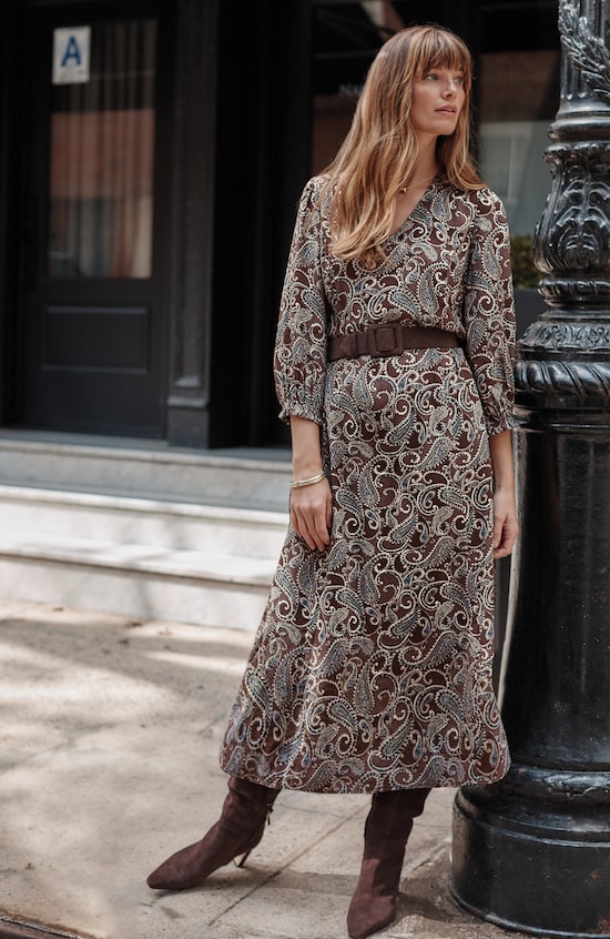 Printed Seamed A-Line Dress