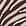 Swatch image of beechnut classic zebra for Knit Zebra-Print Top