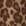 Swatch image of cocoa stunning leopard for Leopard-Printed Ruffle Top