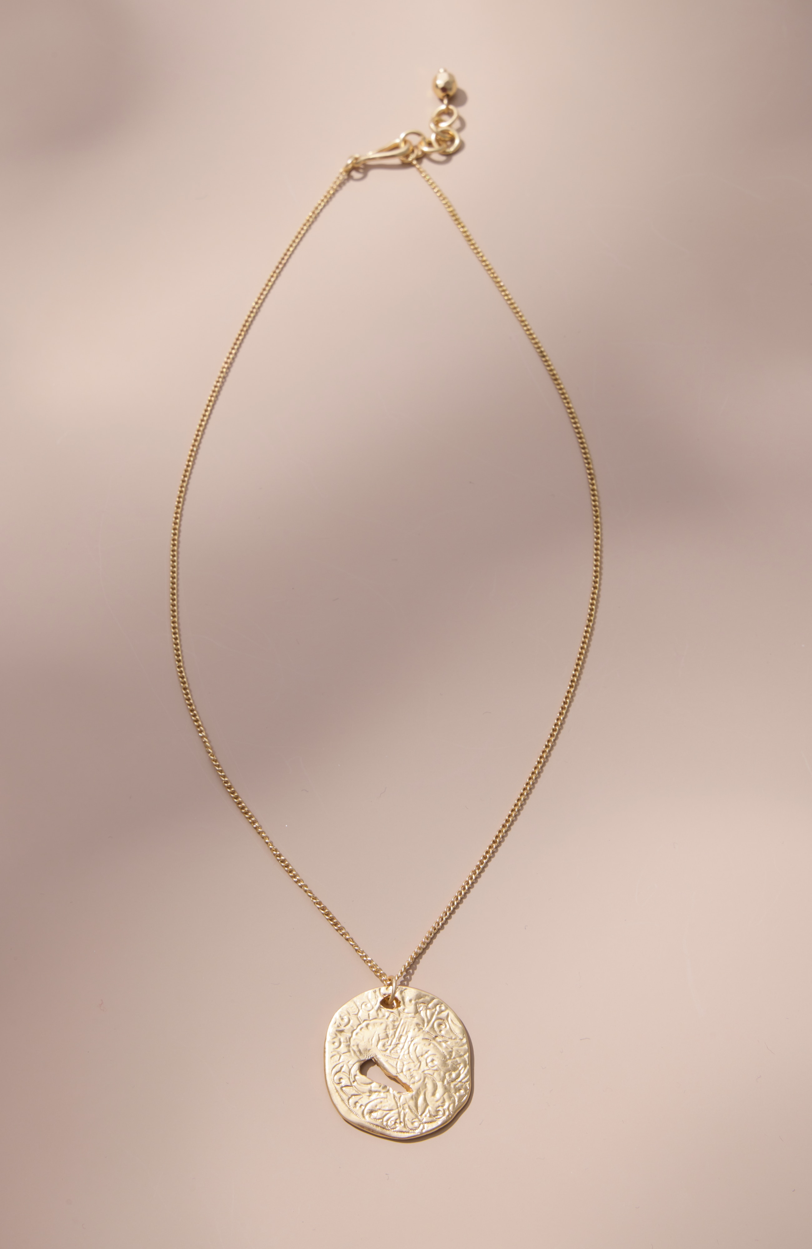 Goldtone Hammered Coin Necklace
