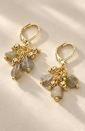 Image for Beaded Cluster Earrings